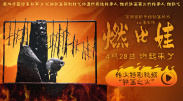 久久久免费观看视频